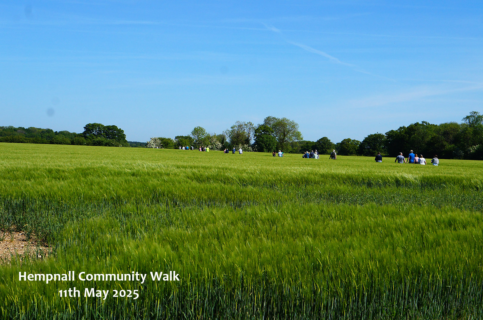 South Norfolk countryside